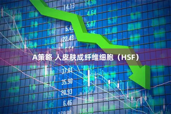 A策略 人皮肤成纤维细胞（HSF）
